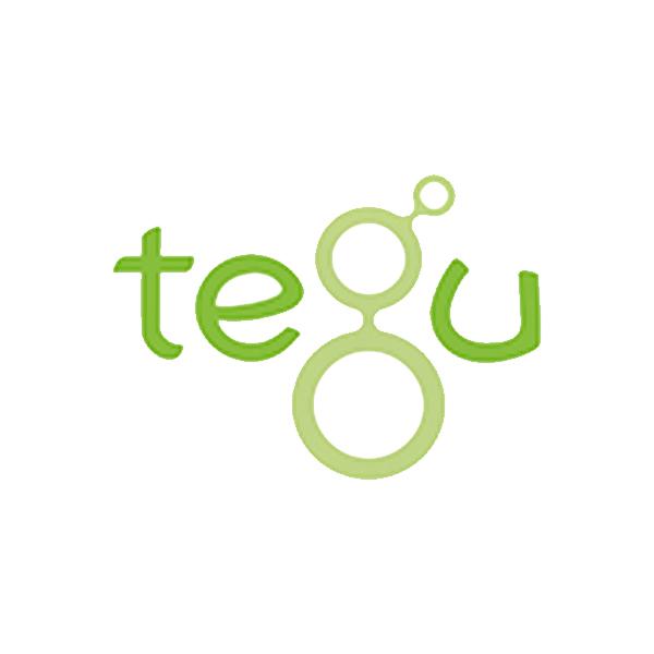 Tegu, responsibly made magnetic wooden blocks