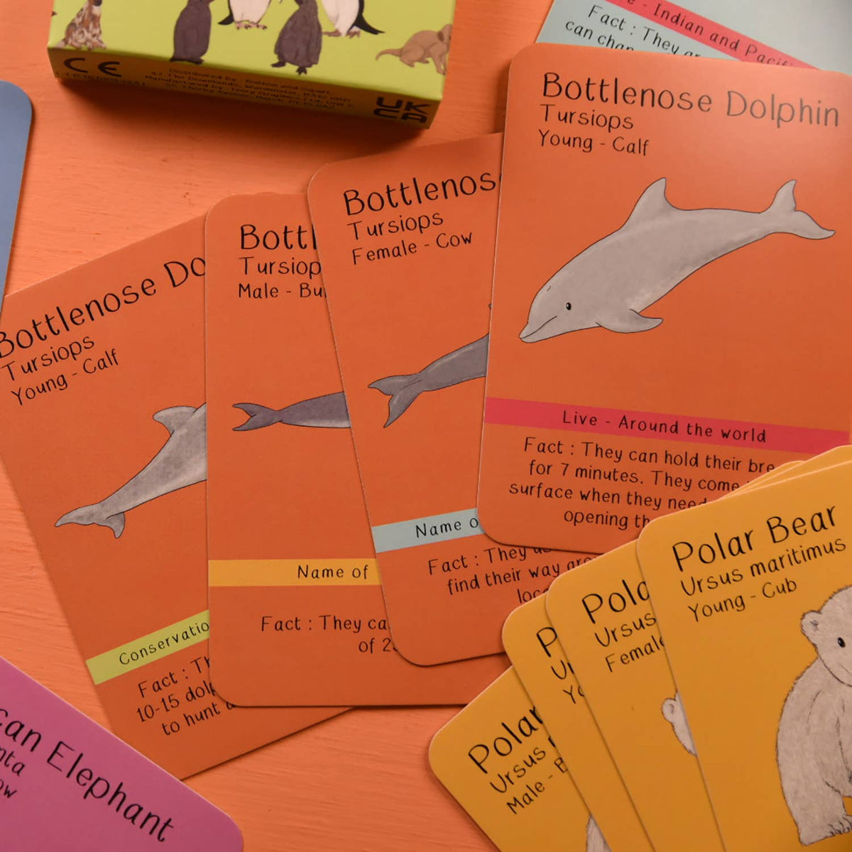 Amazing Animal Families Card Game
