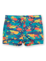Kite Rock pool swim trunks