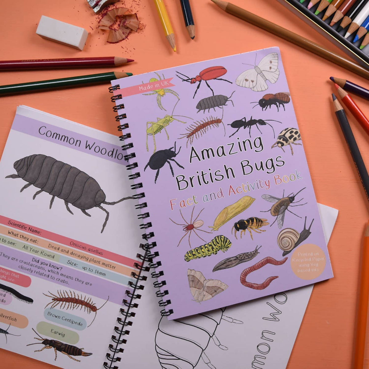 Amazing British Bugs Fact and Activity Book