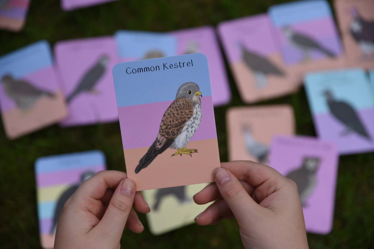 Amazing Birds of Prey Fact Cards