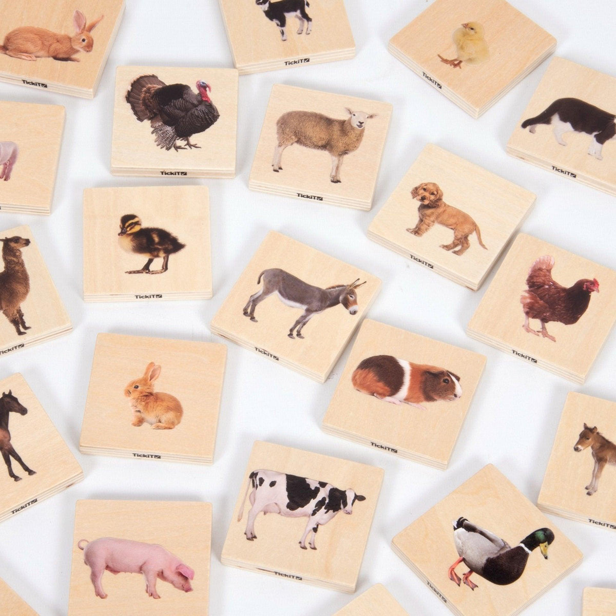Domestic Animal Family Match