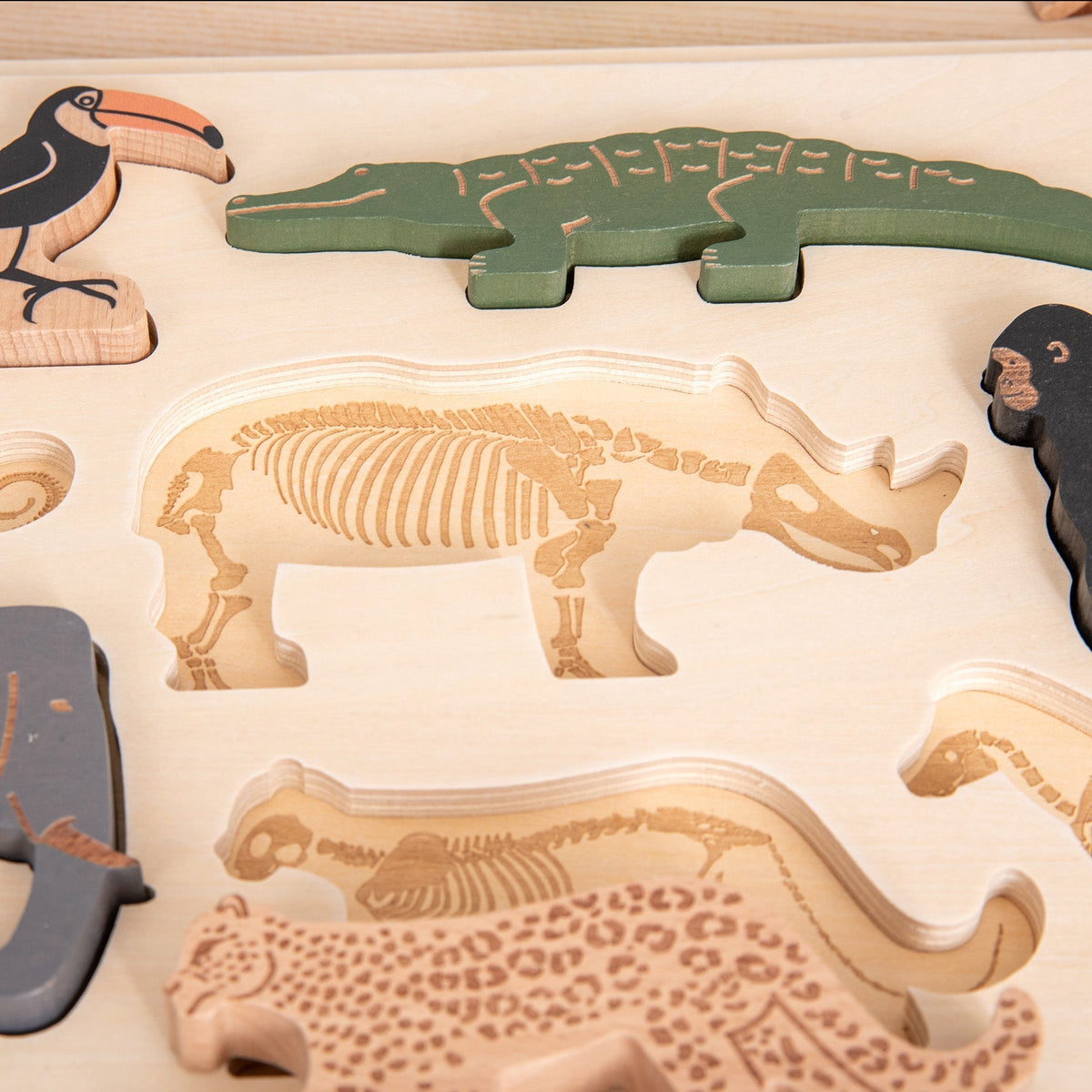 Safari Animal Layer Puzzle