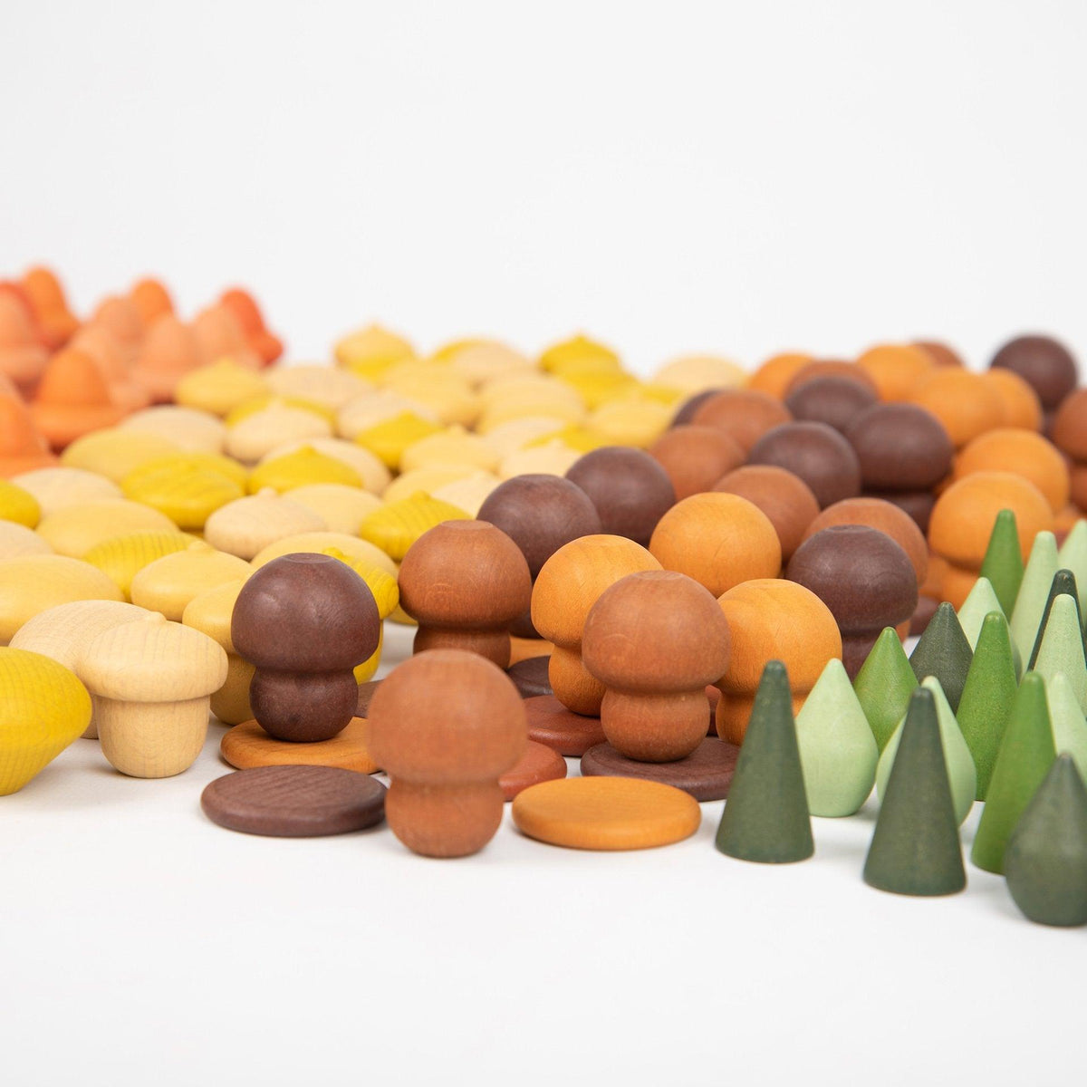 Wooden Treasures Super Set