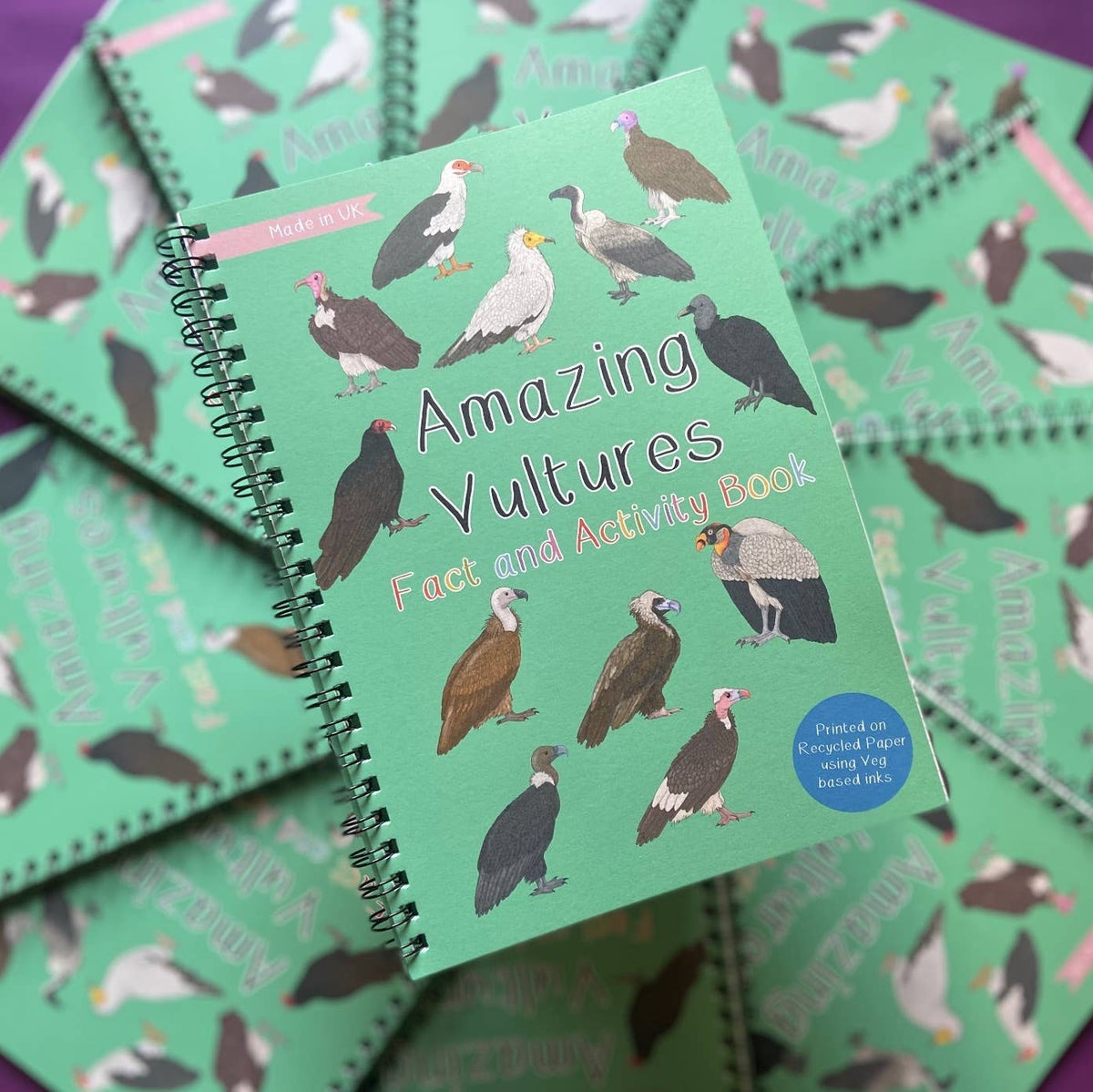 Amazing Vultures Fact and Activity Book