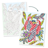Djeco Colouring Gallery - Birds
