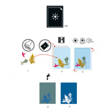 Djeco Cyanotype Paper - 12 sheets Refill