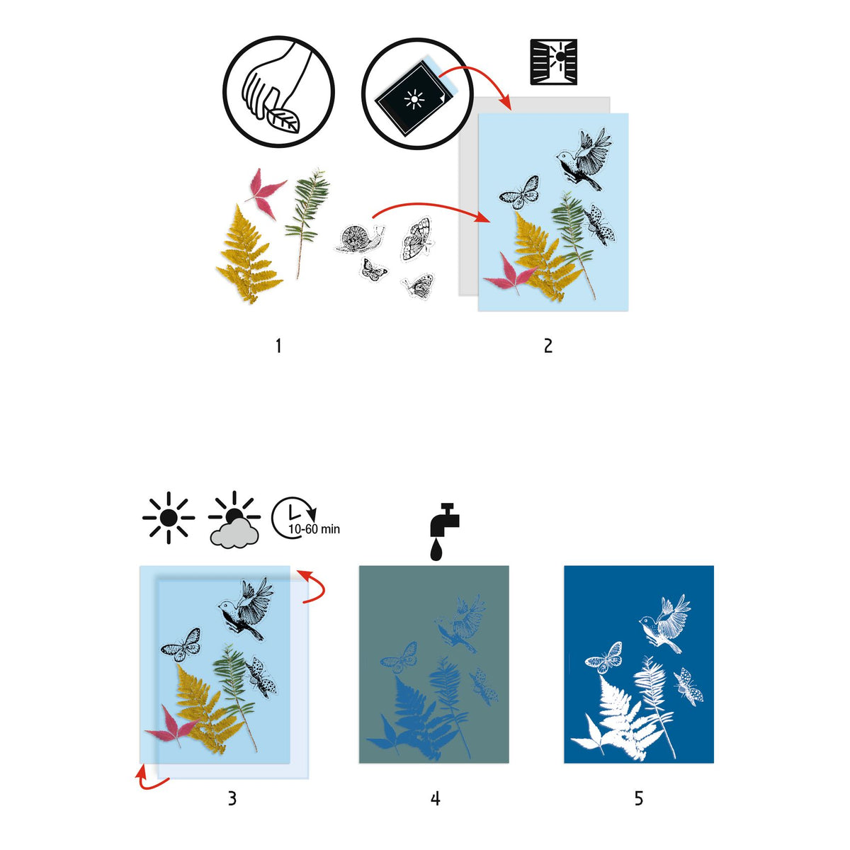 Djeco Cyanotype Craft Kit