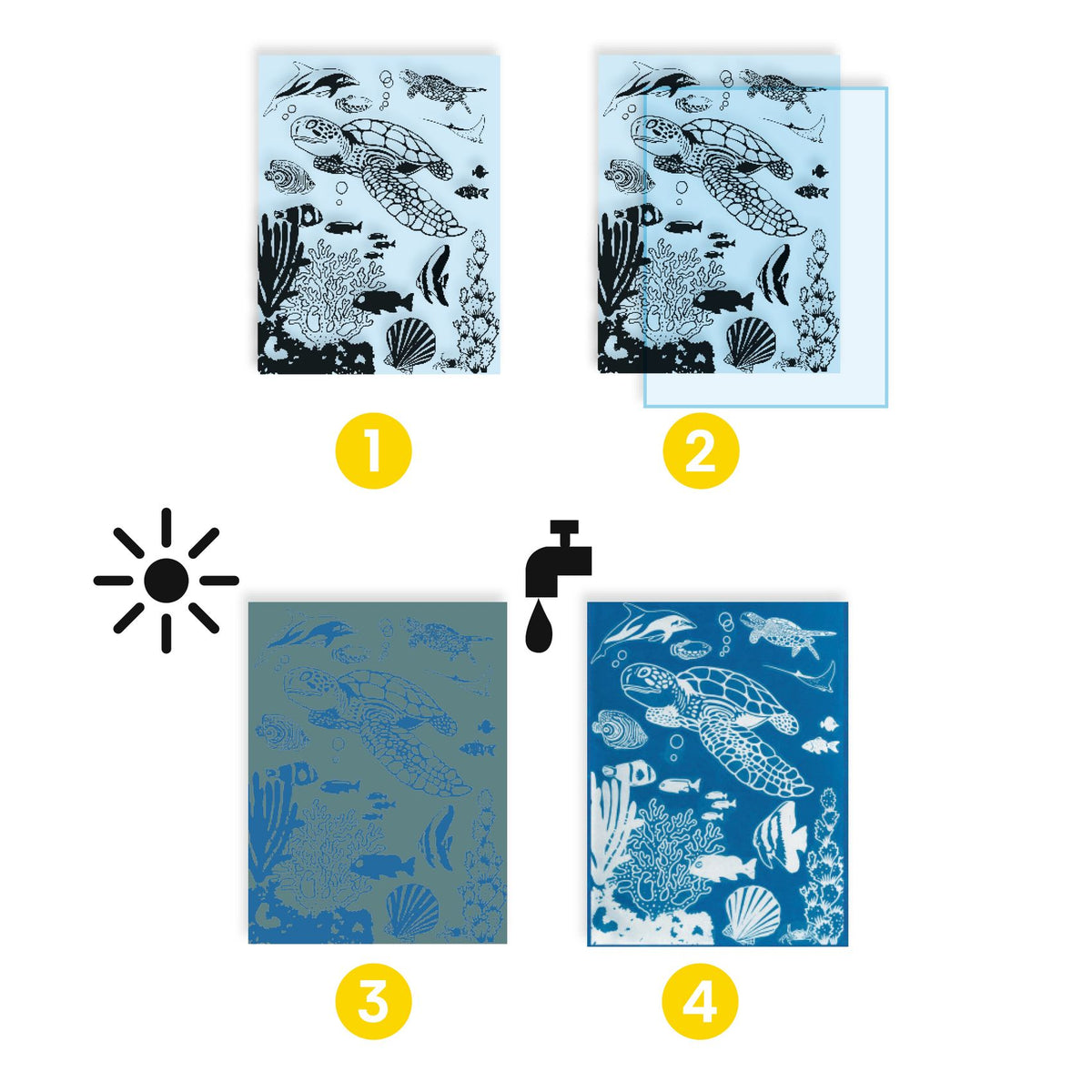 Djeco Cyanotype Kit - Ultramarine