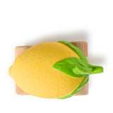 Oli & Carol Lou the Lemon Car