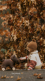 Egmont Toys Pull-Along Raoul The Bear