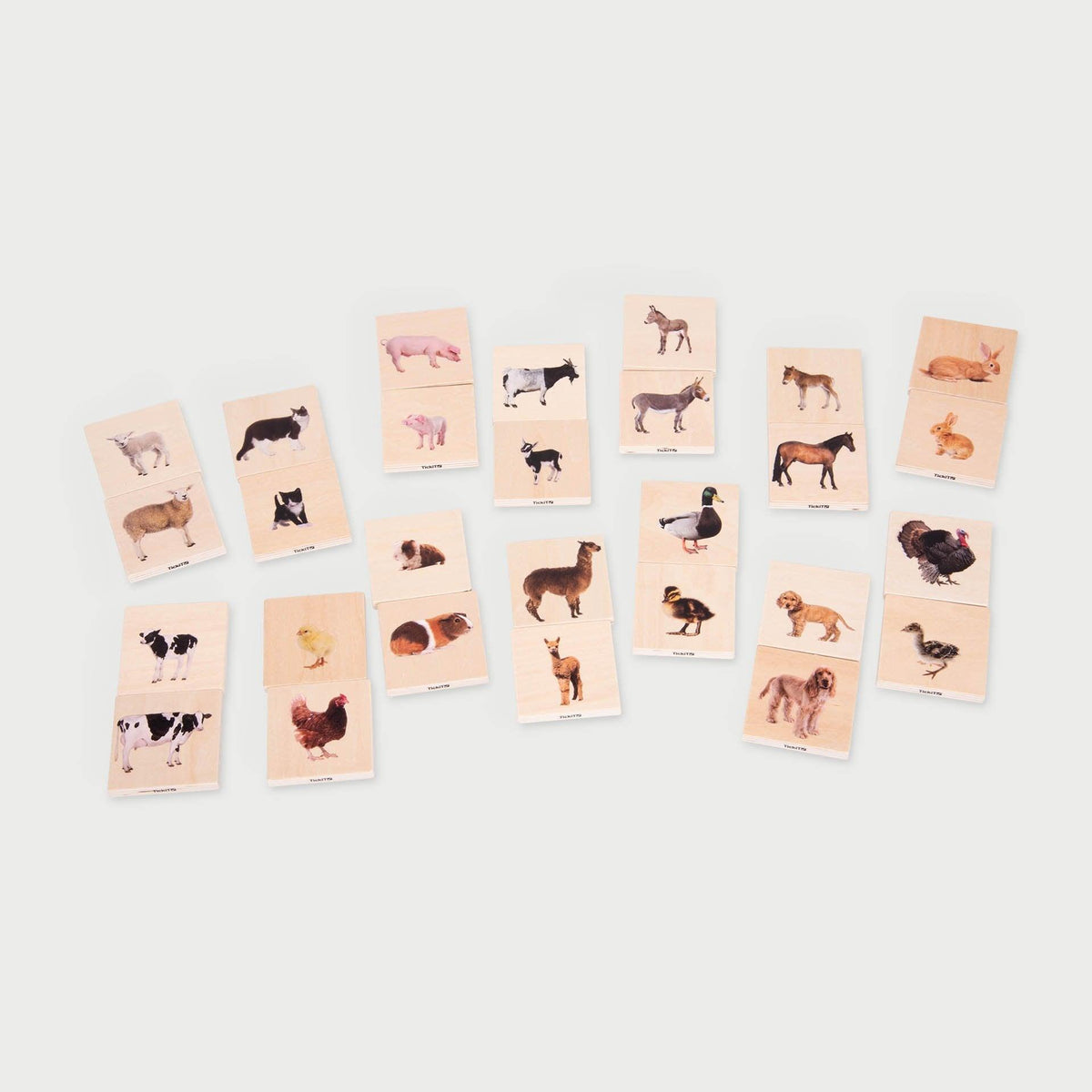 Domestic Animal Family Match