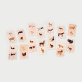 Domestic Animal Family Match