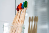 Plant-Based Beech Wood Toothbrush - (certified wood 100%)