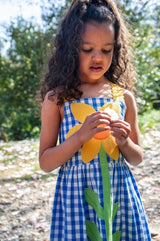 Frugi Allie Daisy Dress - Cobalt Gingham/Daisy