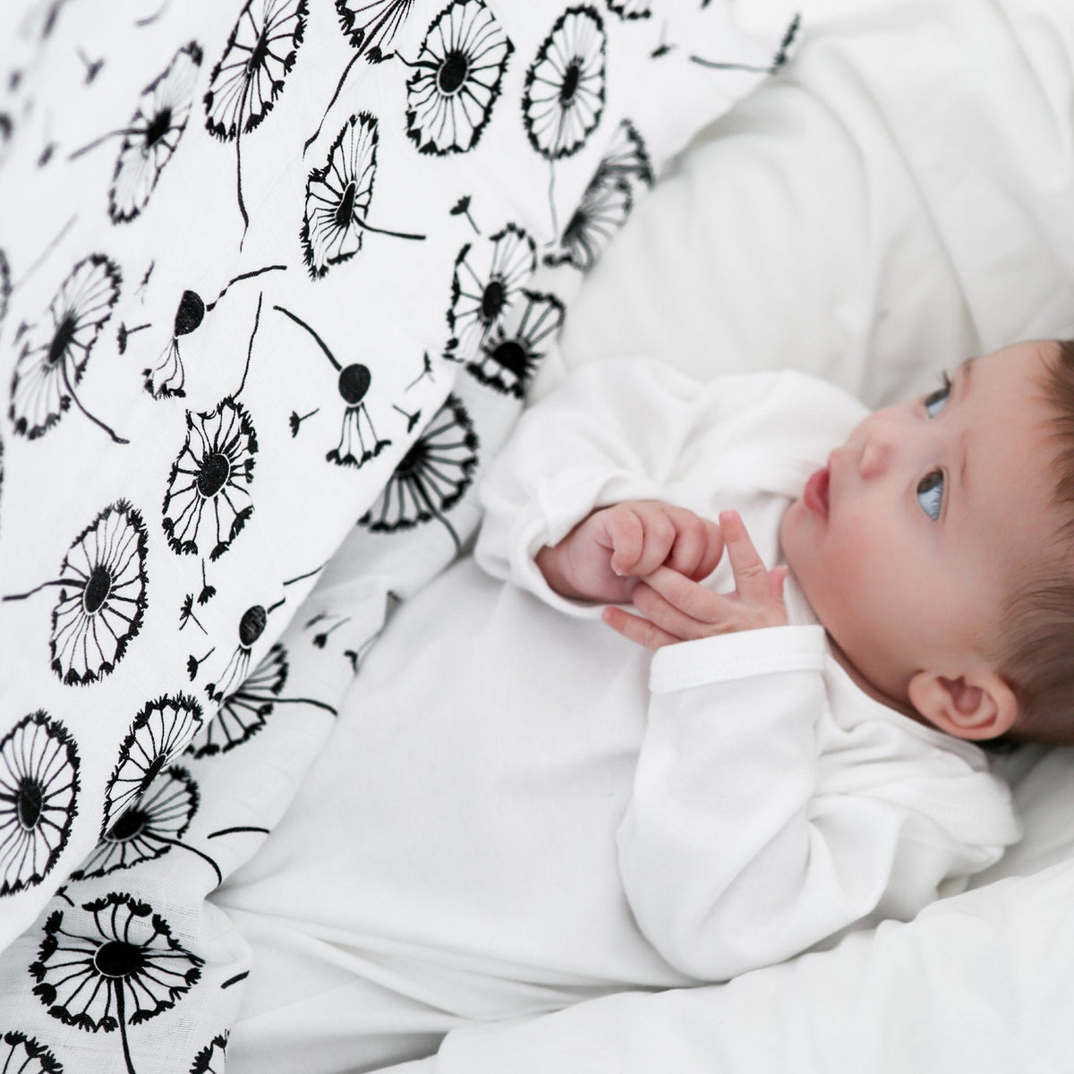 XL DANDELION MUSLIN - birth to 4 months