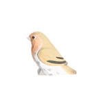 Wudimals® Robin