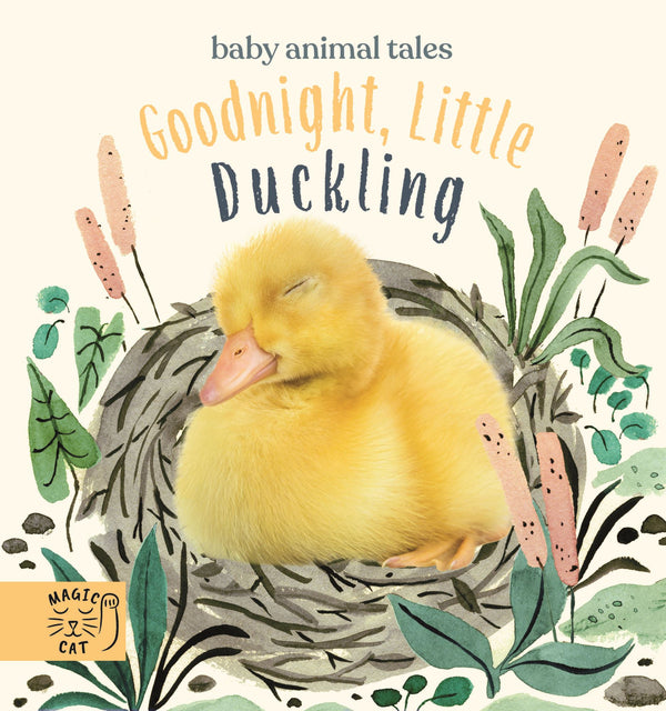 Goodnight Little Duckling Board Book