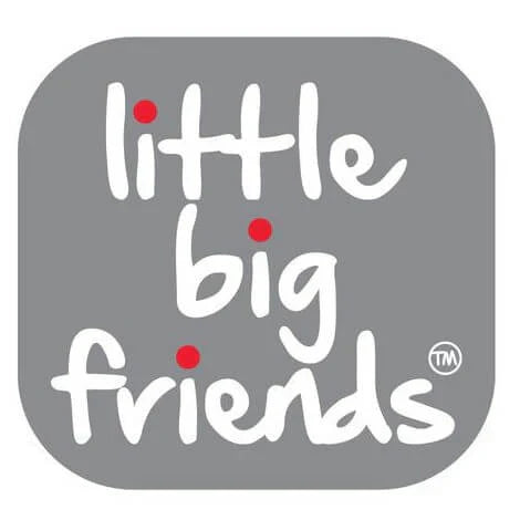 Little Big Friends