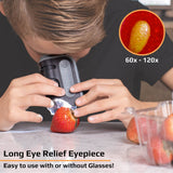 60x-120x Lighted Pocket Microscope, Portable, Educational