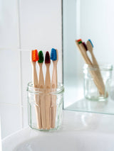 Plant-Based Beech Wood Toothbrush - (certified wood 100%)