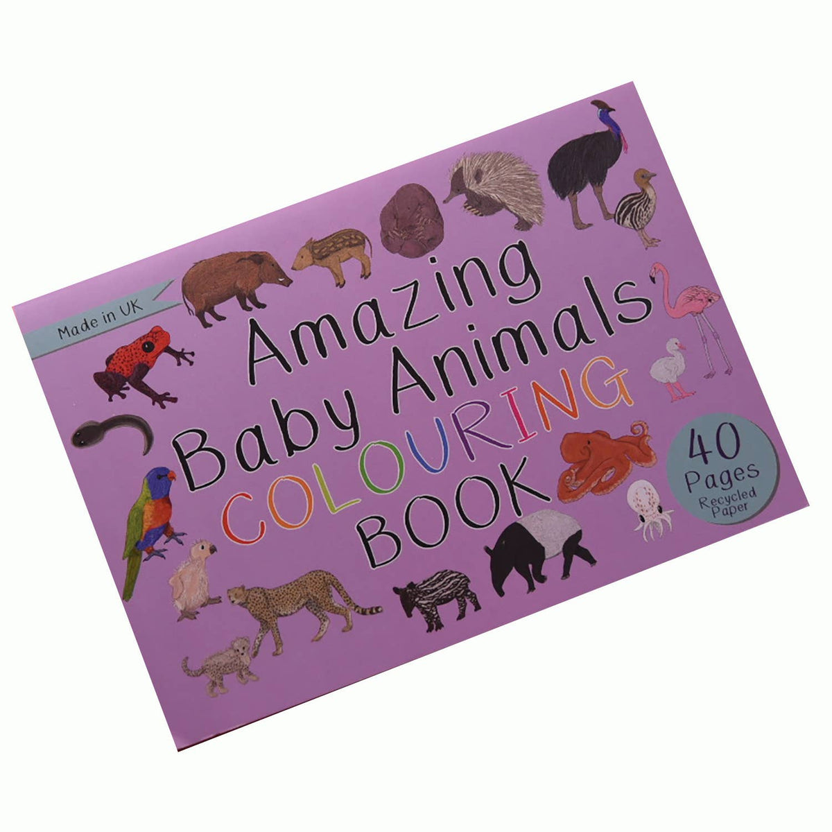Amazing Baby Animals Colouring Book