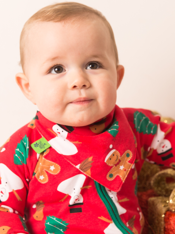 Christmas Bib