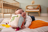 Little Big Friends Soft Activity Cube - Dino