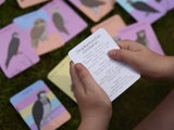 Amazing Birds of Prey Fact Cards