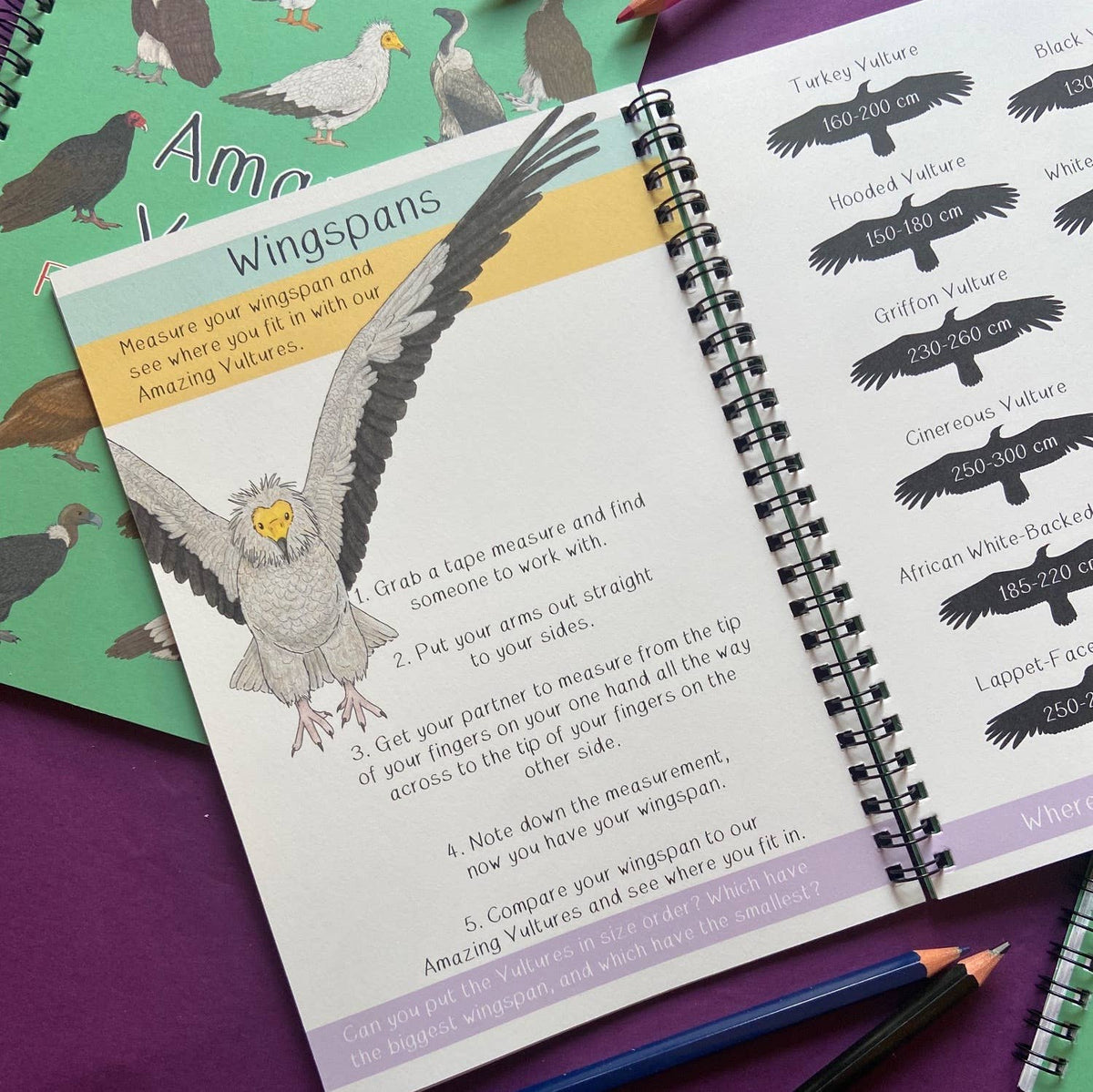 Amazing Vultures Fact and Activity Book 