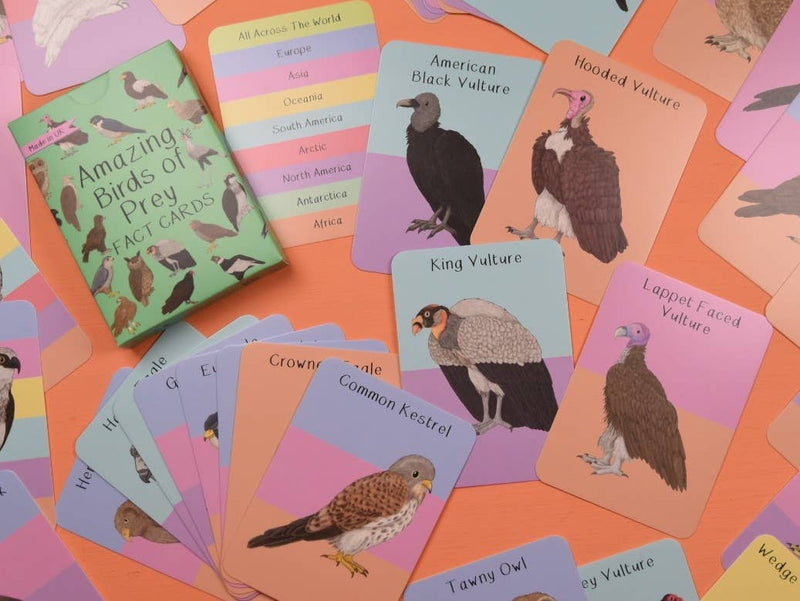 Amazing Birds of Prey Fact Cards