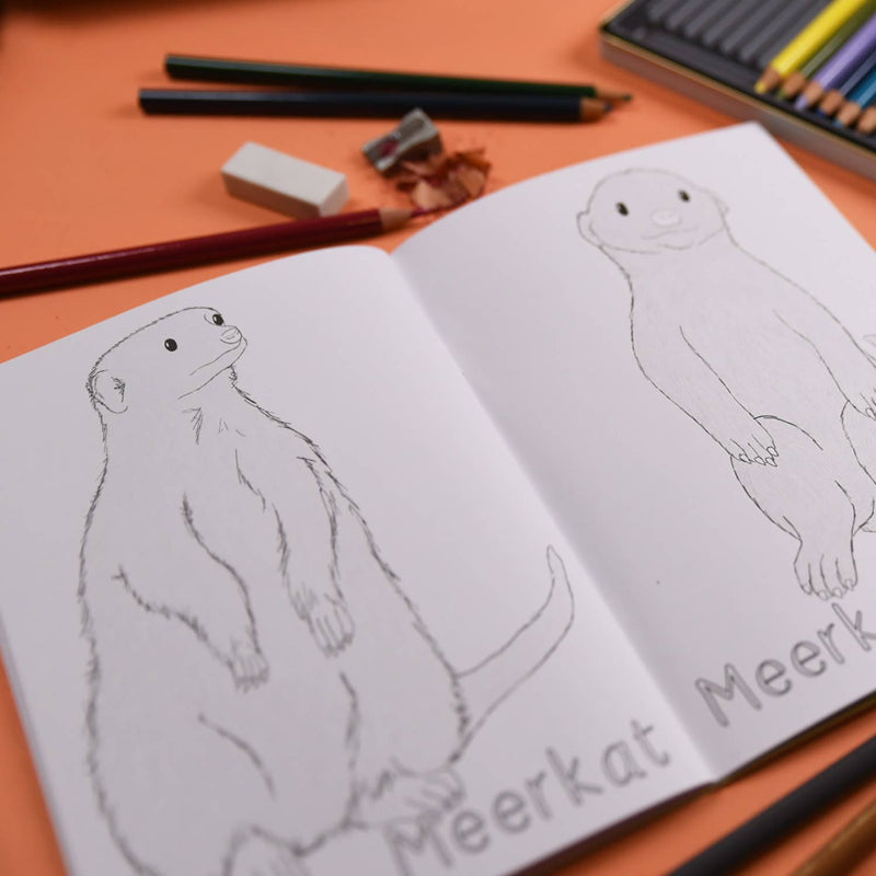 Amazing Animal Families Colouring Book
