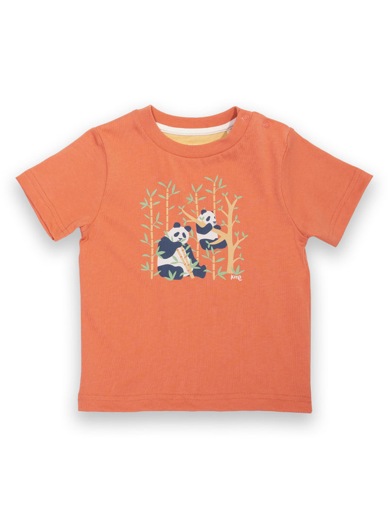 Kite Panda pals t-shirt
