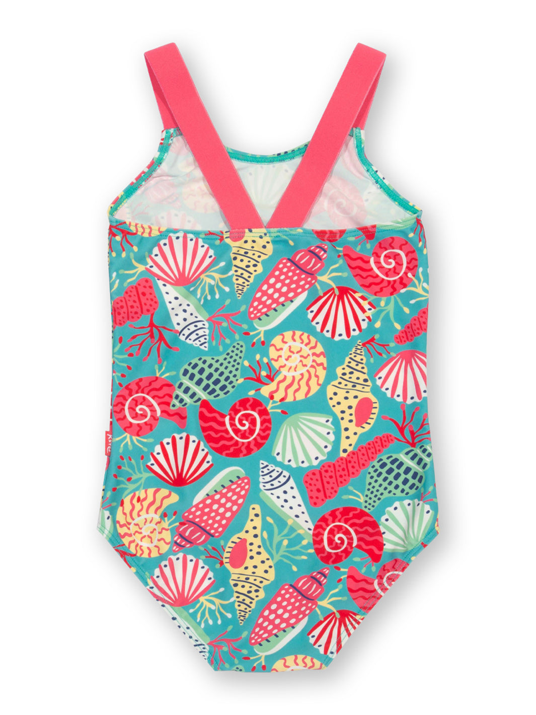 Kite Shell seeker swimsuit