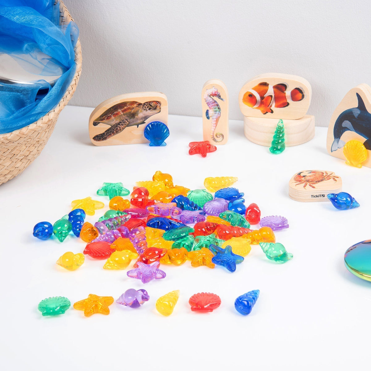 Translucent Colour Shells - Pack of 72
