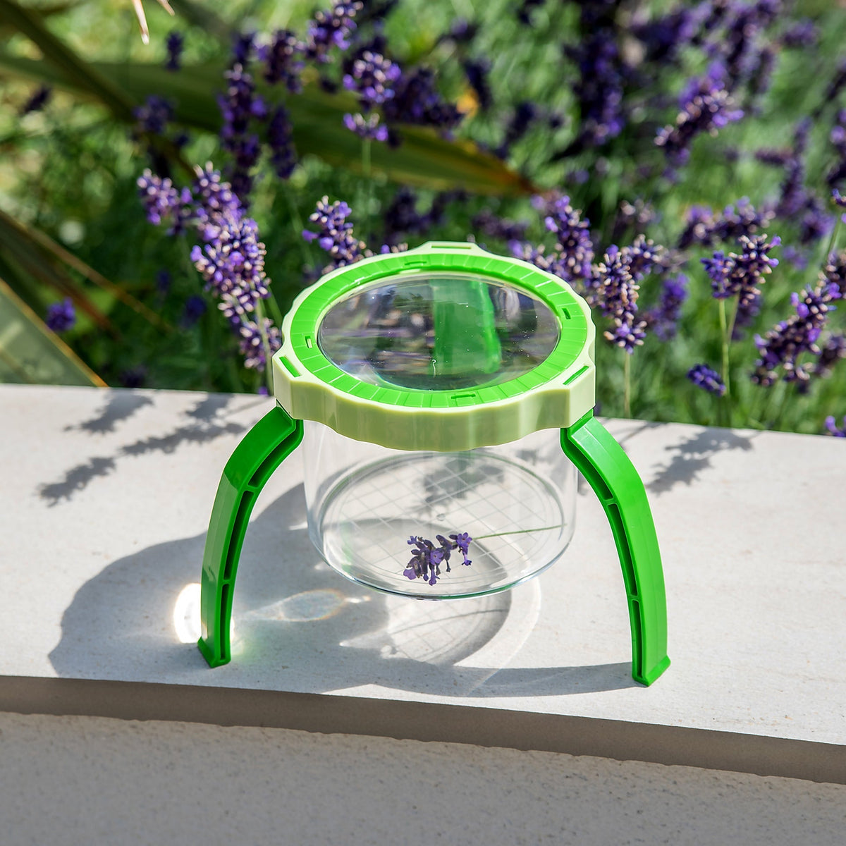 Tabletop Magnifier 2.3X & Pot