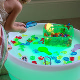 Translucent Colour Discovery Set