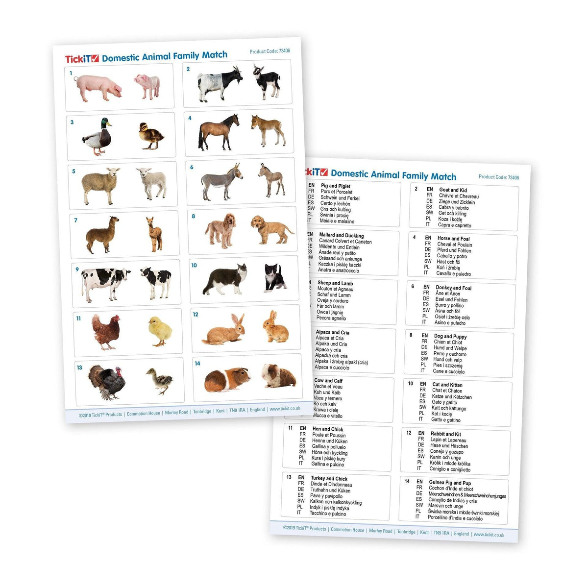 Domestic Animal Family Match