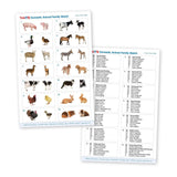 Domestic Animal Family Match