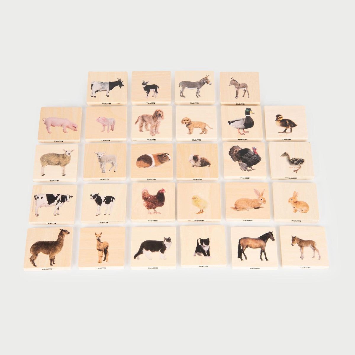 Domestic Animal Family Match