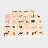 Domestic Animal Family Match