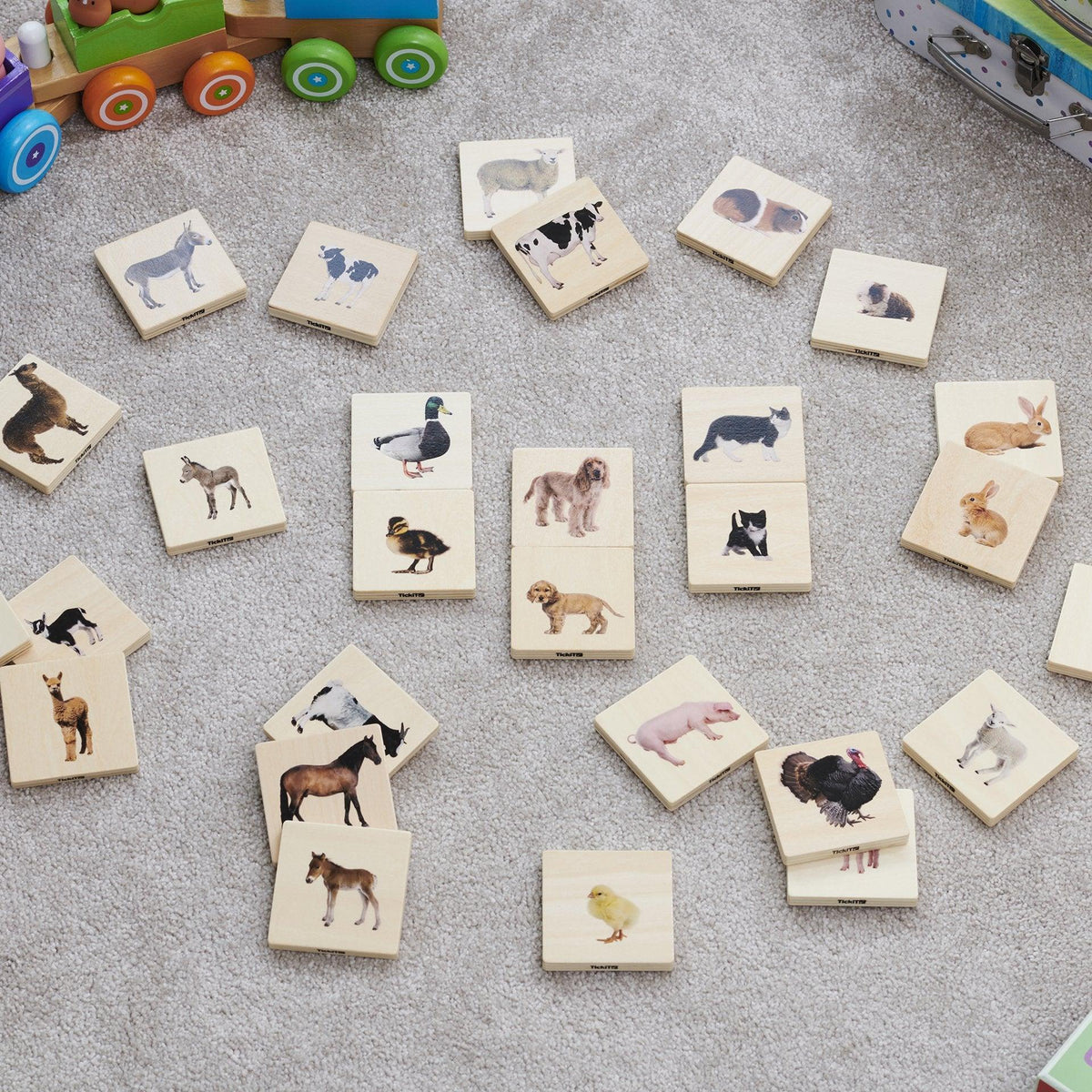 Domestic Animal Family Match