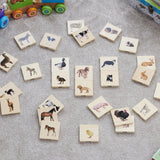 Domestic Animal Family Match