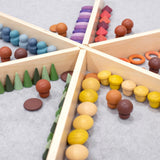 Wooden Discovery Dividers