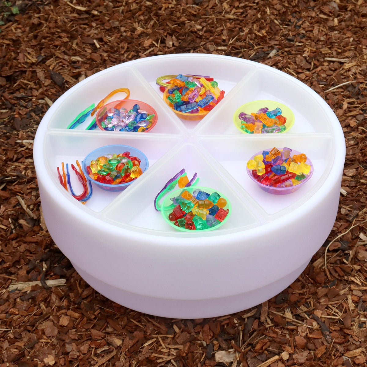 Discovery Trays