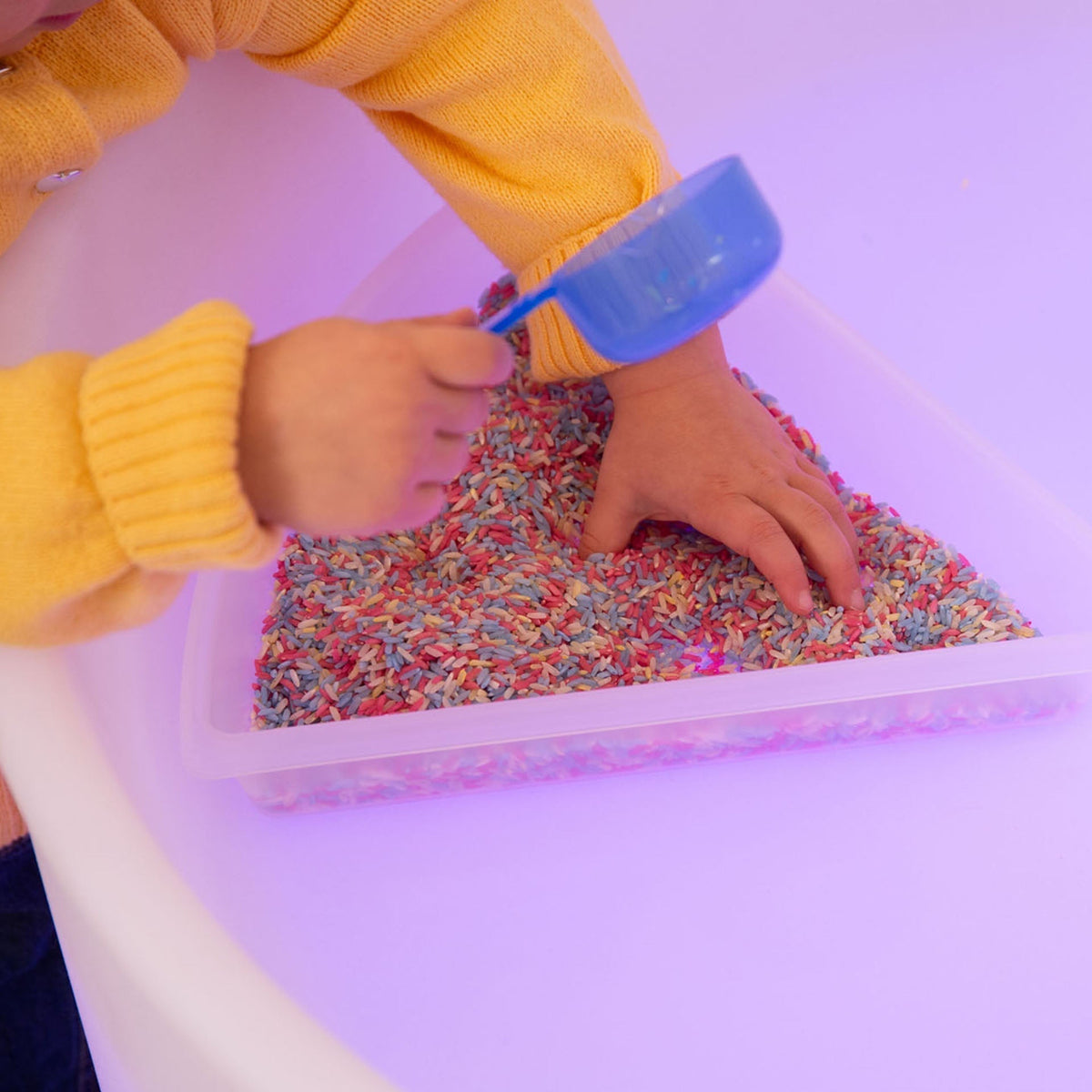 Discovery Trays