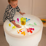 Discovery Trays