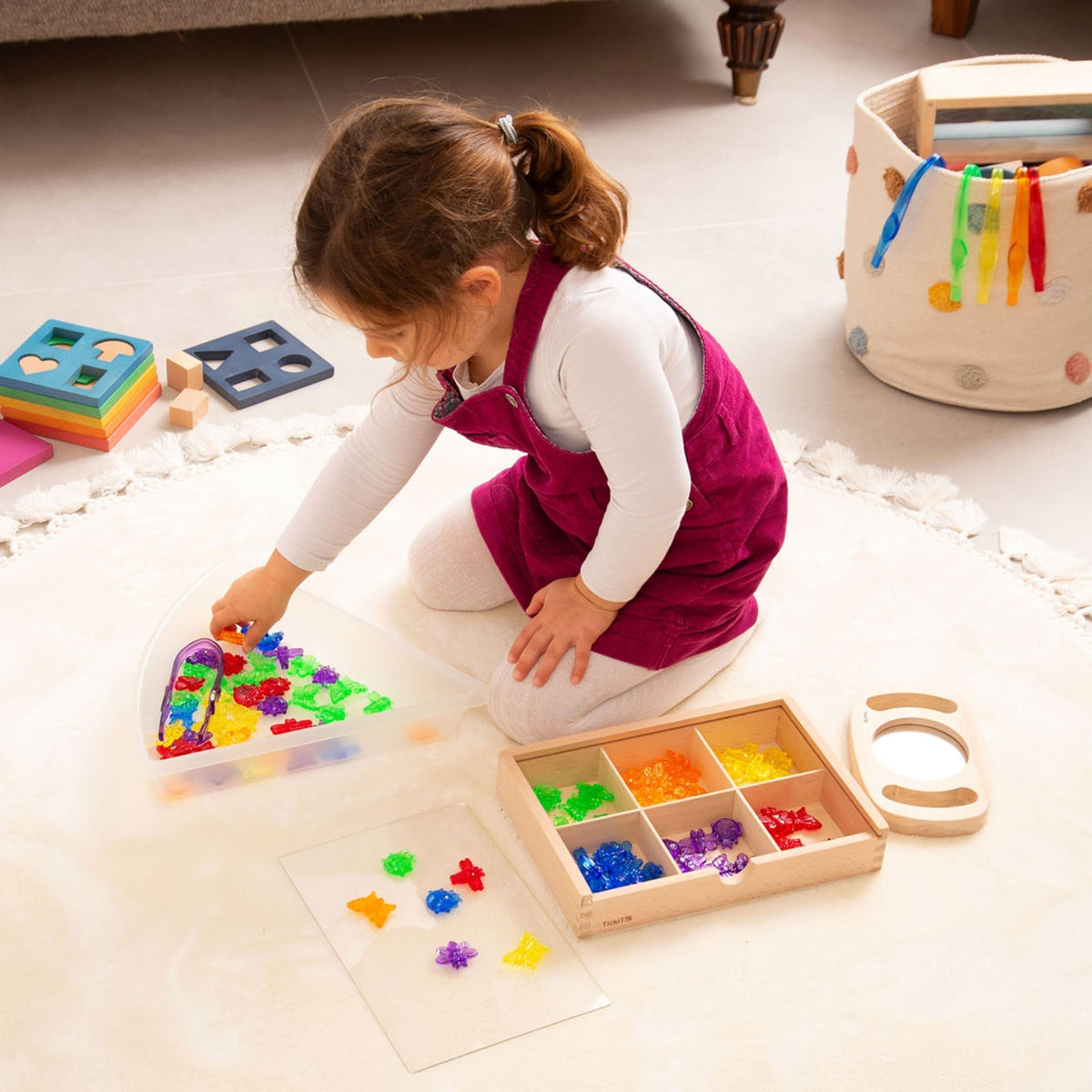 Discovery Trays