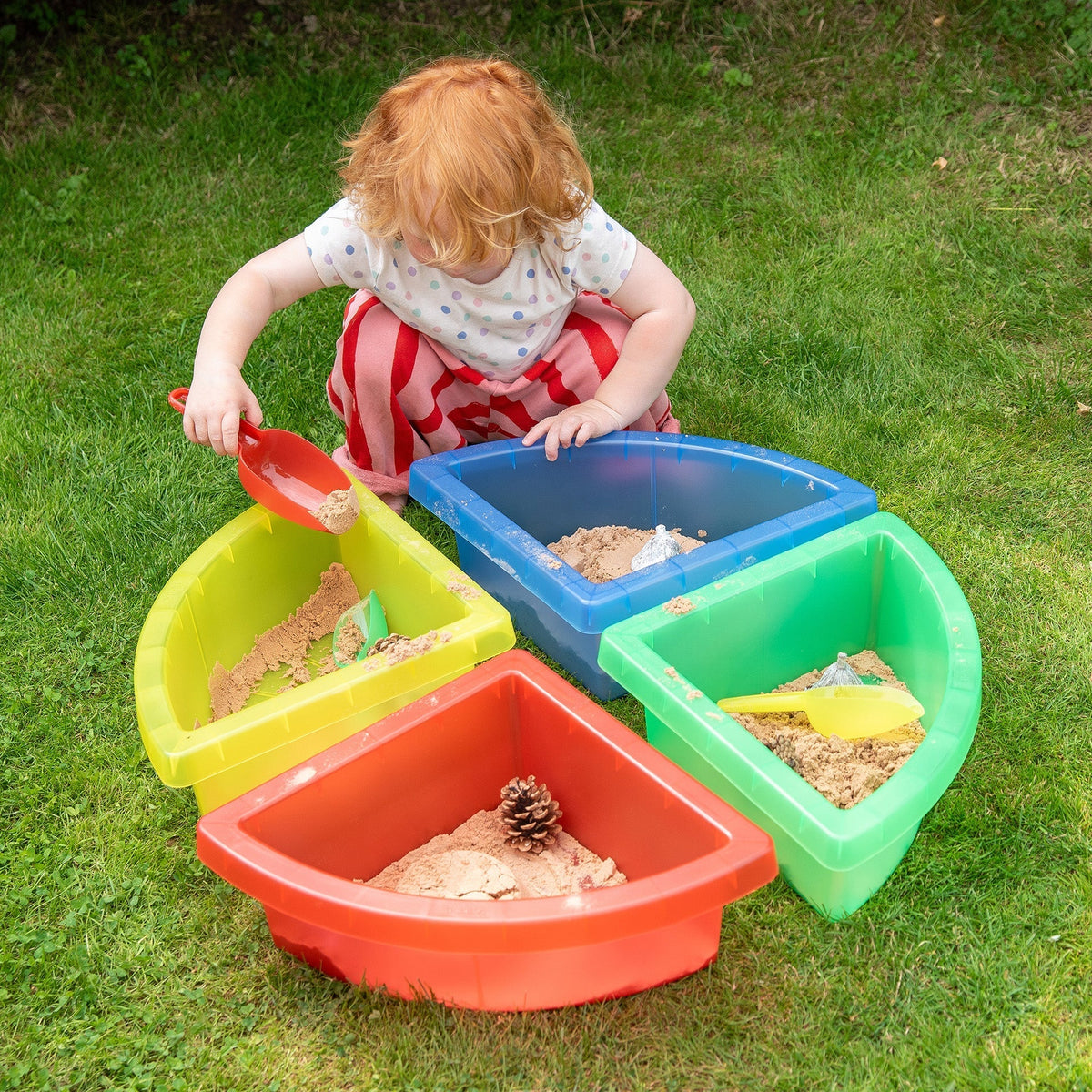 Discovery Colour Quadrant Trays