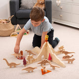 Wooden Dinosaur Blocks